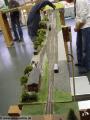 Rosenheim-N-10-090